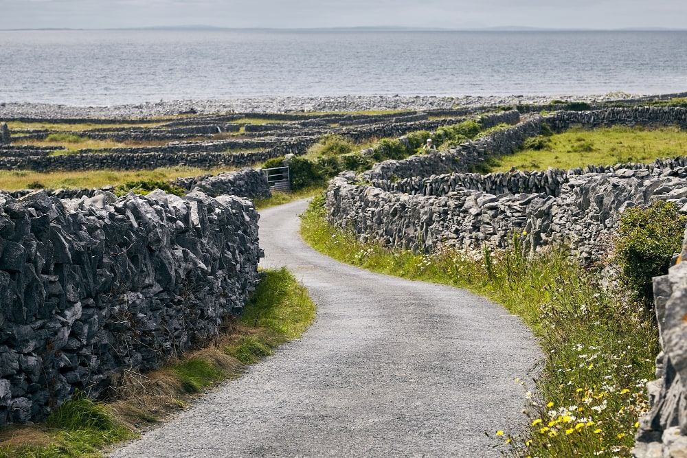 pathway in inisheer surrounded by rocks and the sea under the sunlight in ireland